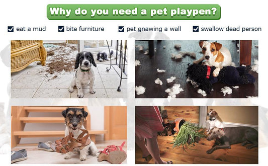 Ultimate Guide to Choosing the Right Crate Size for Your Dog or Puppy - Furniture4Design