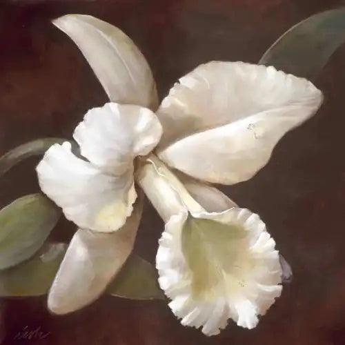 White Orchid Accent & Decor Tile Wilder Rich Floral Art OB-WR1334AT - Furniture4Design